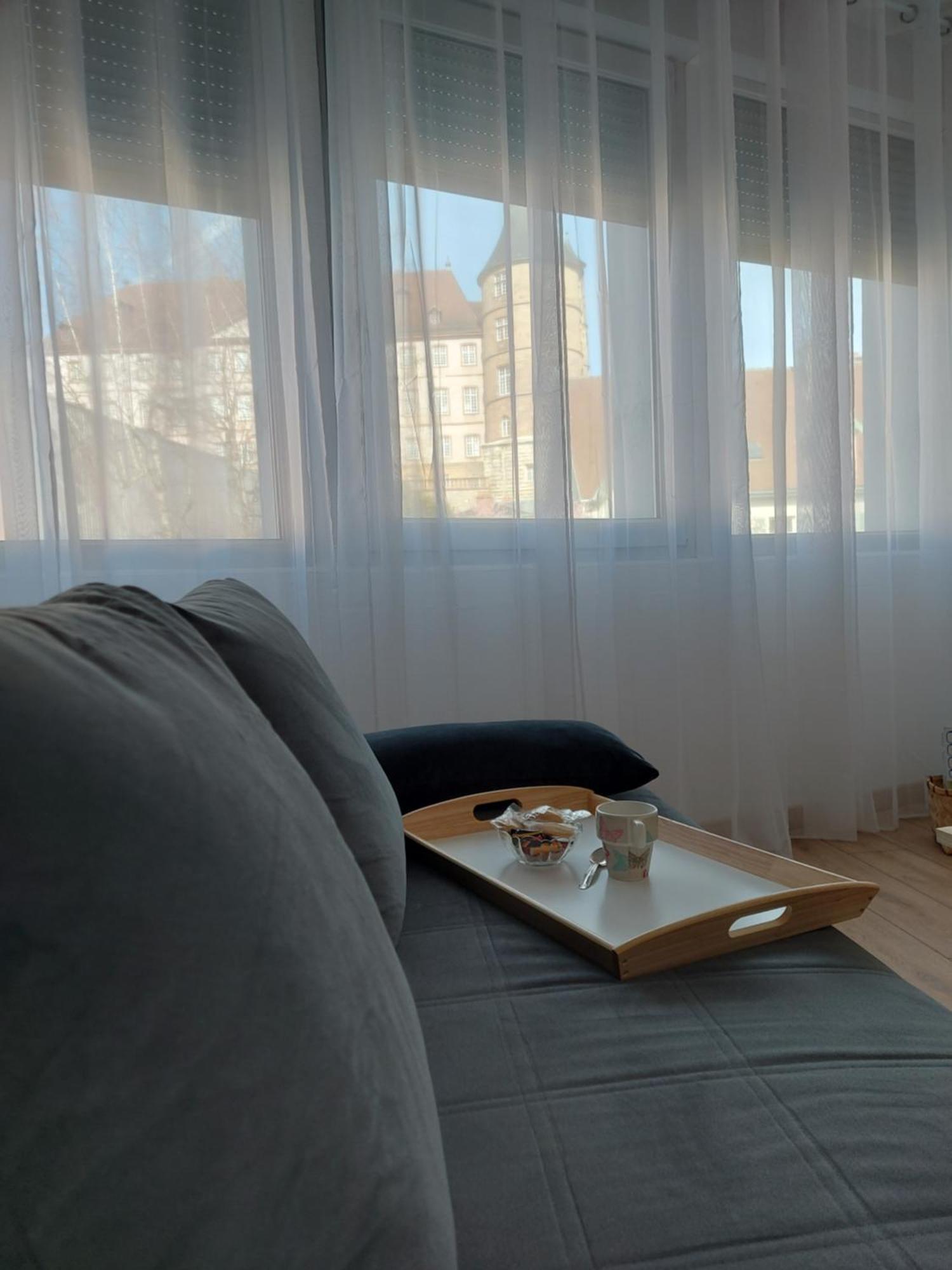 Appart' Duchatelain Lumineux, Vue Sur Chateau モンベリアル エクステリア 写真